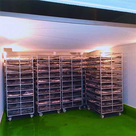 Balst Freezer 450 3